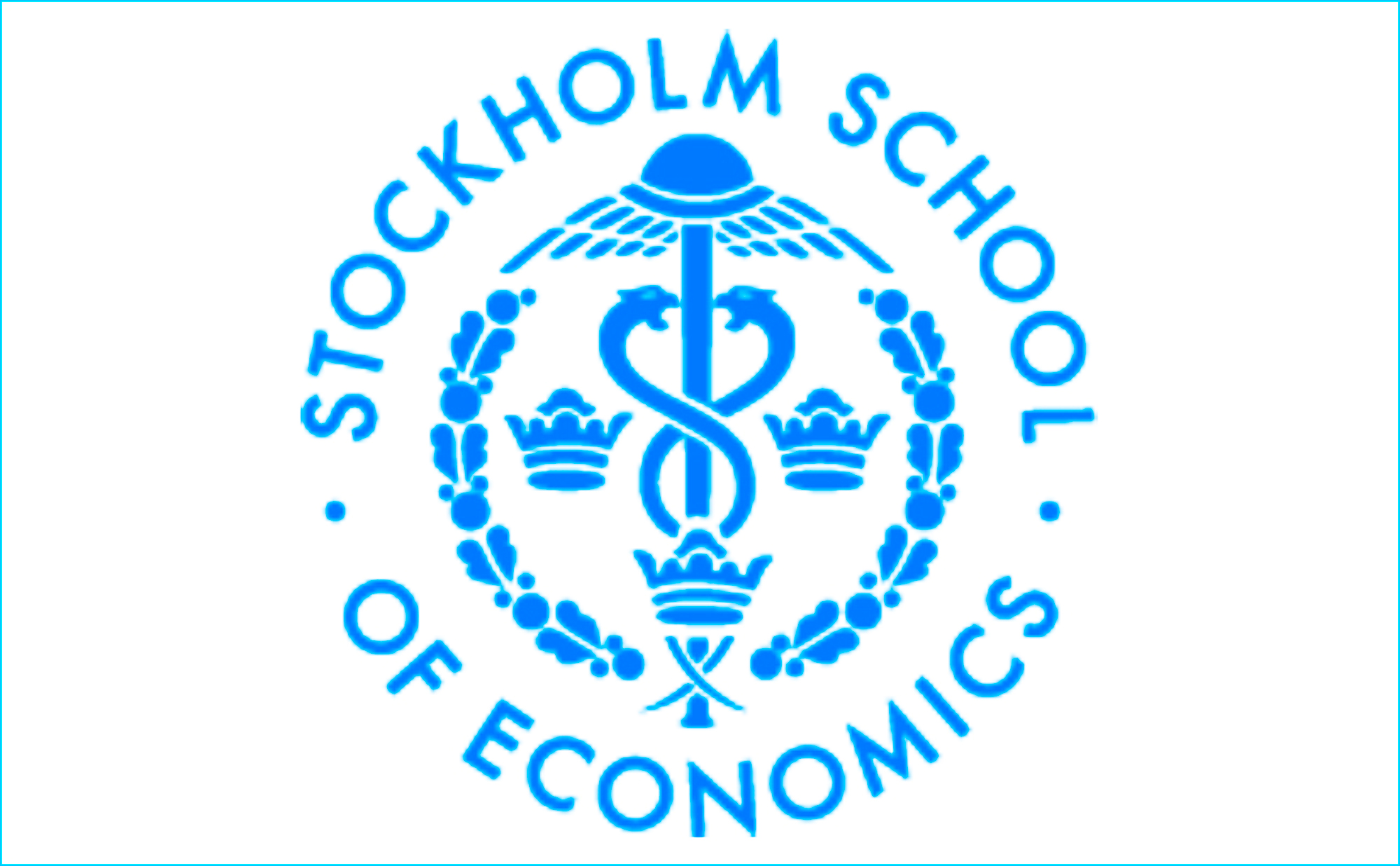 Stockholm School of Economics EIJS